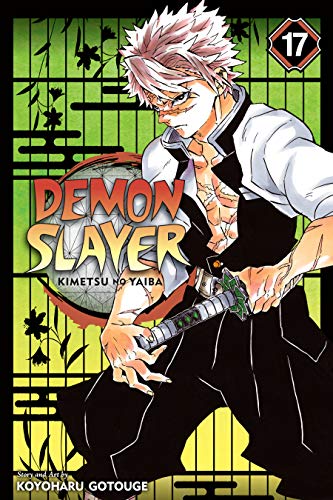 Demon Slayer: Kimetsu no Yaiba, Vol. 17: Successors (English Edition)