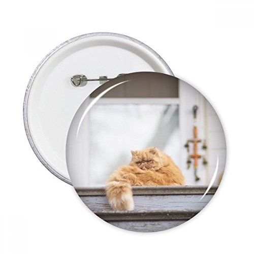 DIYthinker Regalo de la fotografía del gato Garfield grasa animal pernos redondos insignia del botón de la ropa de la decoración 5pcs Multicolor SG