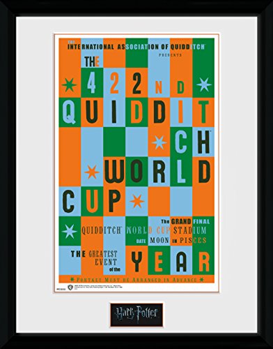 HARRY POTTER GB Eye LTD, Quidditch World Cup, Print Enmarcado 40 x 30 cm