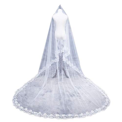 LiuQ Velo De Novia 1 Capa Mujeres Nupcial Blanco Ultra Velo de Novia Largo y Ancho Bordado Floral Hexagonal Edge Apliques Matrimonio Sólido Sin Peine Boda (Color : 4 500cm(196.85in))