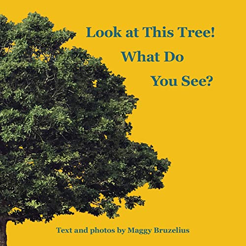 Look at This Tree! What Do You See?