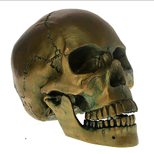 NCDFH Cabeza de Calavera de Bronce de tamaño Natural con mandíbula móvil Escultura de Cabeza de Esqueleto Antiguo Horror de Halloween Decoraiton Figuras de Miedo Regalo
