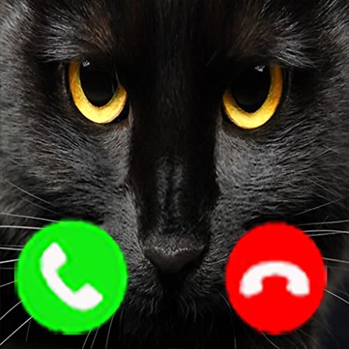 Scary Cat Fake Call Prank and Texting ( Funny Fake Black Cat Joke For Cats Lovers)
