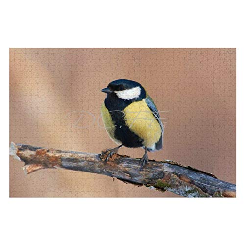 Scott397House Jigsaw Puzzles 1000 Pieces for Adults, Large Piece Puzzle Great Tit Bird Watcher Birds AnimalFun Game Toys Birthday Gifts Fit Together