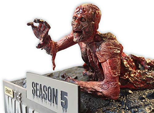 The Walking Dead - Temporada 5 - Figura Coleccionista [Blu-ray]
