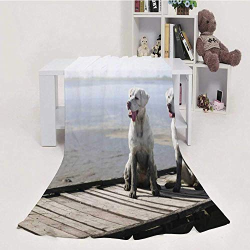 959 Custom Personalized Two White oung Labrador Retriever Dog Puppies on The sunn Beach East German,Blanket Throw Weight Super Soft COZ Luxur Bed Blanket Dirt 60''x80''(WxL)