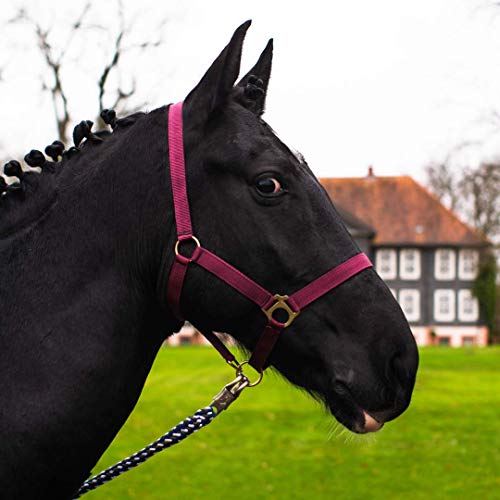 Cabestro para caballo de sangre caliente, sangre completa, sangre fría, cabestro, cabestro, cabestro, mimbre, ajustable en la barbilla y en la nuca, seguro y resistente a desgarros (burdeos, cobre)