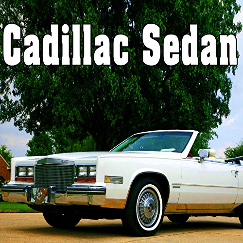 Cadillac Sedan Door Open 4