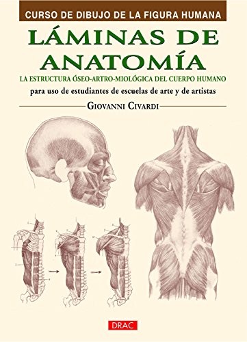 Curso De Dibujo De La Figura Humana. Láminas De Anatomía (Curso Dibujo Figura Humana)