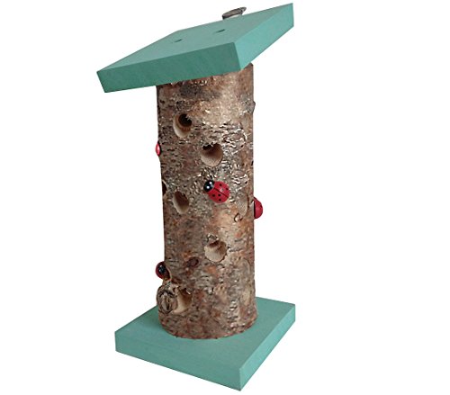 Dehner Natura Mariquita Casa Lady Bird, Madera de Abedul, Turquesa/marrón Dehner Natura Mariquita Casa Lady Bird, Madera de Abedul, Turquesa/marrón