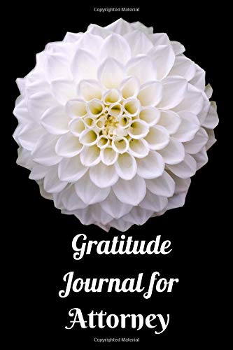 Gratitude Journal for Attorney: Journal with prompts for daily art  of inner peace/happier/positive/effective Attorney