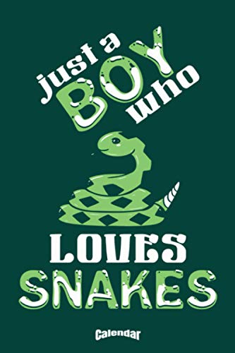My Boy Loves Snakes Calendar: Calendar, Diary or Journal Gift for rattle snake lovers, snake handlers and any boy who loves reptiles and terrariums