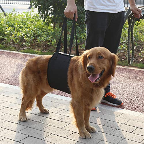 Arnés clásico de elevación para animales mayores o enfermos para ayudarlos a subir o bajar las escaleras o entrar y salir de vehículos Arnés clásico de elevación para animales mayores o enfermos para ayudarlos a subir o bajar las escaleras o entrar y salir de vehículos