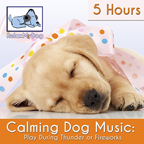 Calming Dog Music: Play During Thunder or Fireworks - 5 Hours