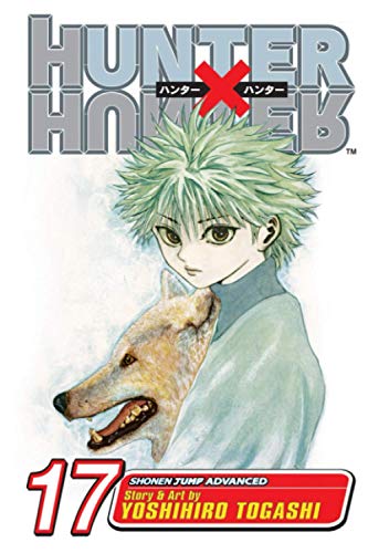 Composition Notebook: Hunter X Hunter Vol. 17 Anime Journal/Notebook, College Ruled 6" x 9" inches, 120 Pages