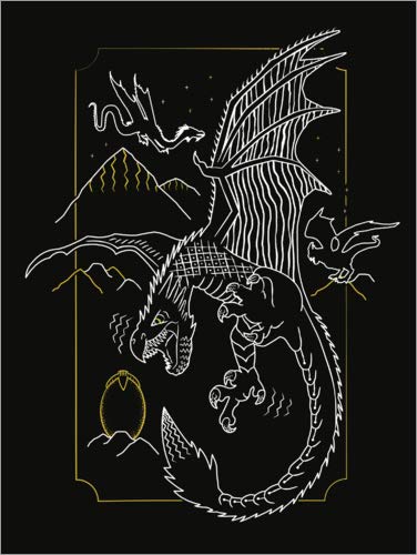 Cuadro de metacrilato 60 x 80 cm: Harry Potter - Dragon Flight de Warner Bros. Entertainment GmbH