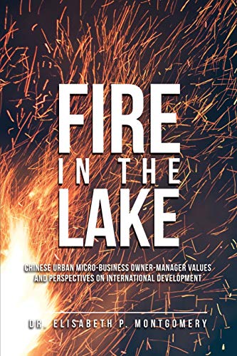 Fire In The Lake: Chinese Urban Micro-Business Owner-Manager Values and Perspectives on International Development