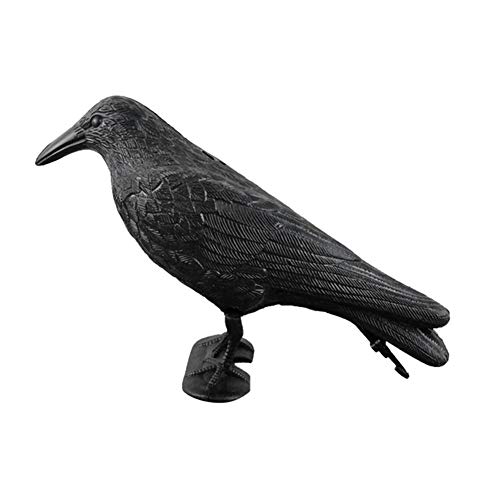 Gelentea - Señuelo de simulación de Cuervo Negro para Tiro de Caza o decoración de Jardines