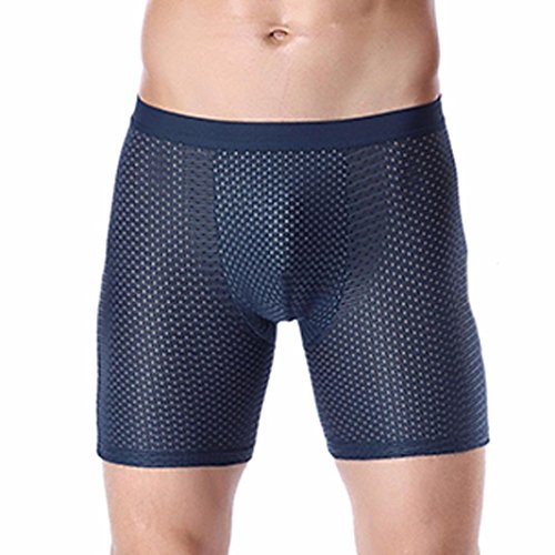 Lenfesh Pantalones Cortos Deportivos de Hombre Calzoncillos Bóxers para Hombre Ropa Interior Trunks Transpirable (3XL, Azul)
