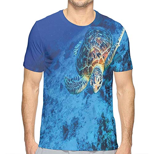 Mens 3D Printed T Shirts,Oceanic Wildlife Themed Photo of Sea Turtle In Deep Blue Waters Coral Reef Hawaiian M