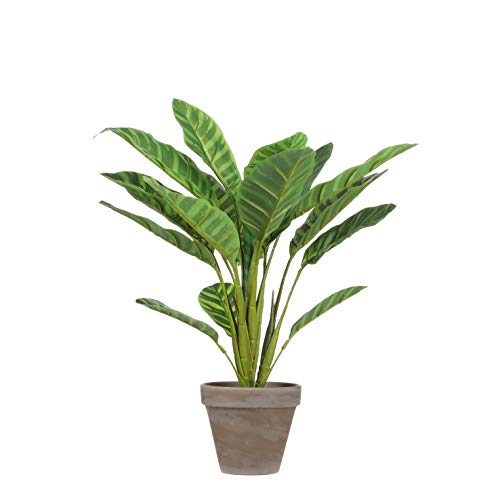 Mica Decorations Calathea – Planta Artificial – Verde Claro – H38 cm