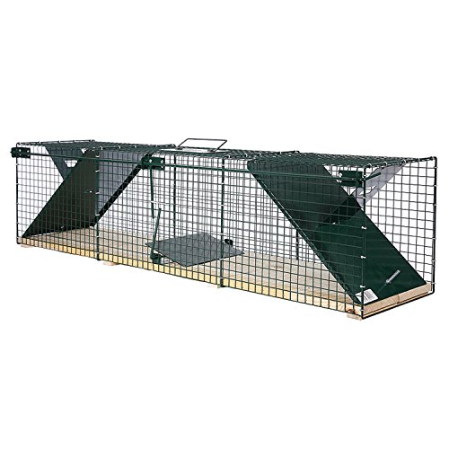 MoorlandSafe 6044 - Trampa Animales Vivos - Gatos Zorros - 116x28x28cm - 2 Entradas - Madera y Alambre MoorlandSafe 6044 - Trampa Animales Vivos - Gatos Zorros - 116x28x28cm - 2 Entradas - Madera y Alambre