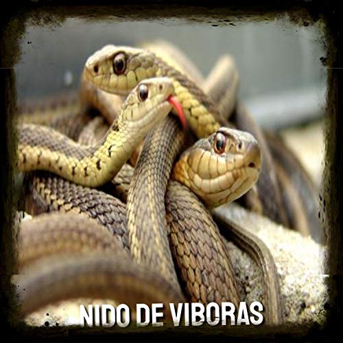 Nido de viboras (feat. Silvestre) [Explicit]