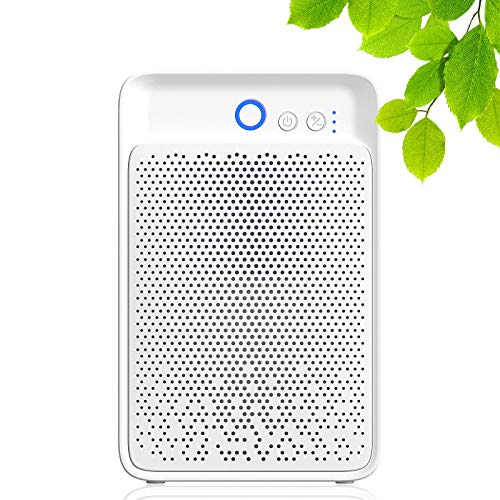 Nobebird Deshumidificador para el hogar, deshumidificador Ultra silencioso de 1000 ml, removedor de Humedad Compacto y portátil para Dormitorio, Oficina, Cocina, baño, sótano y Armario Nobebird Deshumidificador para el hogar, deshumidificador Ultra silencioso de 1000 ml, removedor de Humedad Compacto y portátil para Dormitorio, Oficina, Cocina, baño, sótano y Armario