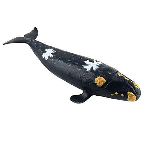 perfeclan Modelo Animal Marino, Hecho de Plástico ABS No Tóxico y Relleno de Algodón Adecuados para Niños Mayores de Tres Años - Ballena Franca perfeclan Modelo Animal Marino, Hecho de Plástico ABS No Tóxico y Relleno de Algodón Adecuados para Niños Mayores de Tres Años - Ballena Franca
