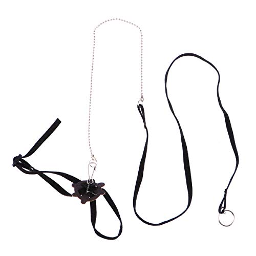 POPETPOP Arnés para mascotas Reptil cuerda tortuga lagarto ajustable para entrenamiento al aire libre Soft Strap (negro) POPETPOP Arnés para mascotas Reptil cuerda tortuga lagarto ajustable para entrenamiento al aire libre Soft Strap (negro)