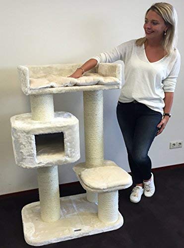 Rascador para gatos grandes Devon Rex Crema baratos arbol xxl maine coon gato adultos con hamaca gigante sisal muebles sofa escalador torre Árboles rascadores cama cueva repuesto medianos Rascador para gatos grandes Devon Rex Crema baratos arbol xxl maine coon gato adultos con hamaca gigante sisal muebles sofa escalador torre Árboles rascadores cama cueva repuesto medianos