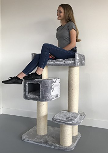 Rascador para gatos grandes Devon Rex Gris claro baratos arbol xxl maine coon gato adultos con hamaca gigante sisal muebles sofa escalador torre Árboles rascadores cama cueva repuesto medianos Rascador para gatos grandes Devon Rex Gris claro baratos arbol xxl maine coon gato adultos con hamaca gigante sisal muebles sofa escalador torre Árboles rascadores cama cueva repuesto medianos