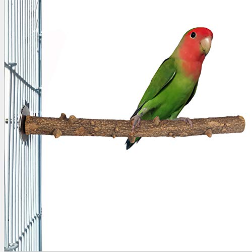 Soporte de Madera para pájaros y Loros Fresca Espinosa Madera Perca Soporte Pájaro Madera Chew Masticar Juguete Pájaro Pata Moler Percha Jaula Colgando Juguete de Entrenamiento(3×35cm)