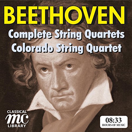 String Quartet in B-flat Major, Op. 18 No. 6: I. Allegro con brio