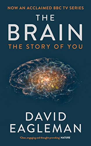The Brain: The Story of You (English Edition)