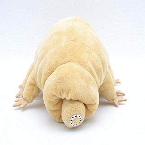 tianluo Peluches Juguete De Peluche De Oso De Agua Original Suave Tardígrado Regalo Educativo 18,5 Cm tianluo Peluches Juguete De Peluche De Oso De Agua Original Suave Tardígrado Regalo Educativo 18,5 Cm
