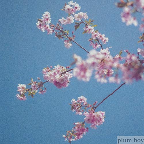 38 Centimeters Per Second 38 Centimeters Per Second