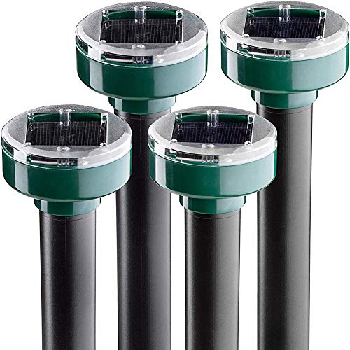 Ahuyentador de topos solar,Repelente Ultrasónico para Animales 4 Piezas,IP65 impermeable Repelente de Ratones Solar,repelente solar ultrasónico para jardín Anti Topos, Serpientes, cucarachas,Insectos Ahuyentador de topos solar,Repelente Ultrasónico para Animales 4 Piezas,IP65 impermeable Repelente de Ratones Solar,repelente solar ultrasónico para jardín Anti Topos, Serpientes, cucarachas,Insectos