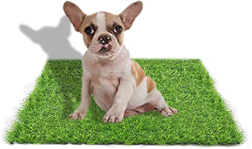 Alfombra de césped Artificial STARROAD-TIM para Perros, Interior y Exterior, césped Falso para Perros, área de Entrenamiento de Orinal, decoración de césped de Patio (26.62 Pulgadas x 19.68 Pulgadas)