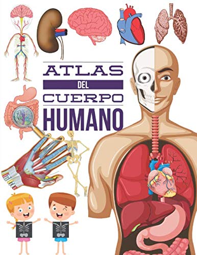 Atlas Del Cuerpo Humano: Cuerpo humano anatomia, Descubre el cuerpo humano, Enciclopedia para niños.