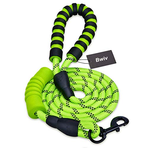 Bwiv Correa para Perros Correr 1.8M Resistente Nylón Fuerte con Mango Acolchado Doble Asa Cómodo Antideslizantes Reflectantes para Grandes Medianos Verde Bwiv Correa para Perros Correr 1.8M Resistente Nylón Fuerte con Mango Acolchado Doble Asa Cómodo Antideslizantes Reflectantes para Grandes Medianos Verde