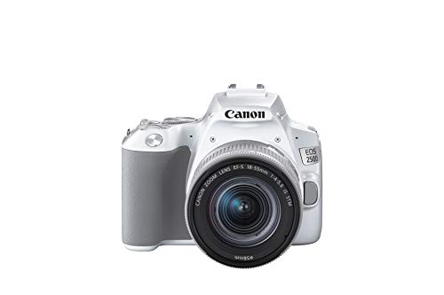 Canon EOS 250D - Cámara digital (24,1 MP, 6000 x 4000 Pixeles, CMOS, 4K Ultra HD, pantalla táctil) blanco - kit con cuerpo y EF-S 18-55IS STM
