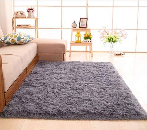 CNFQ Shaggy alfombras de Pelo Largo alfombras Salon alfombras de habitacion moquetas Sala de Estar (Gris, 100 x 200 cm)