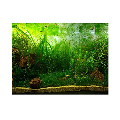 Decoración de pecera para acuario, imagen de fondo de PVC adhesivo, estilo hierba acuática, decoración de papel adhesivo