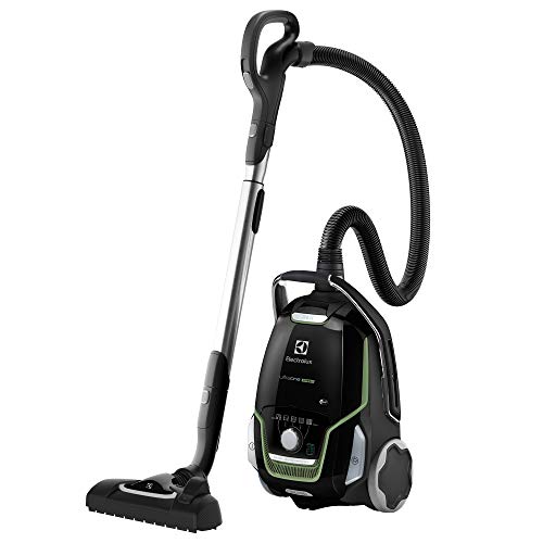 Electrolux EUO9GREEN Aspiradora con Saco Ultraone, Bolsa S-Bag XL de 5 l, Allergy Plus Filter, 700 W, versión Verde, Negro