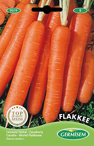 Germisem Flakkee Semillas de Zanahoria 10 g Germisem Flakkee Semillas de Zanahoria 10 g