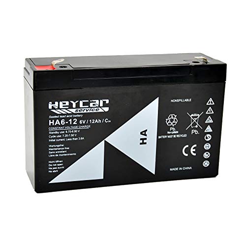 HEYCAR - Batería de Plomo AGM para aplicaciones estacionarias. Batería 6V 12Ah. Capacidad de descarga 180A 1,7 Kg. 151 x 50 x 94 mm