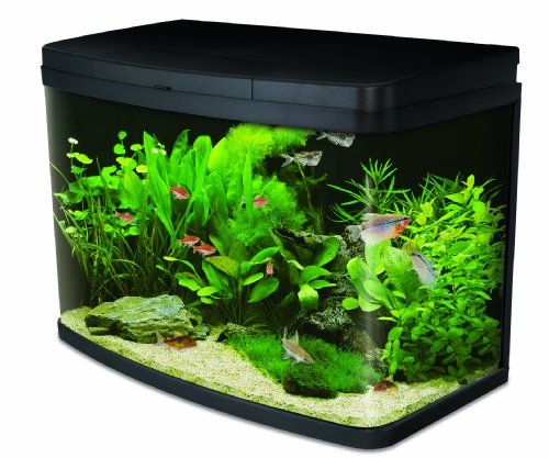 Interpet Insight Acuario de Cristal, Set para Principiantes Completo Premium Interpet Insight Acuario de Cristal, Set para Principiantes Completo Premium