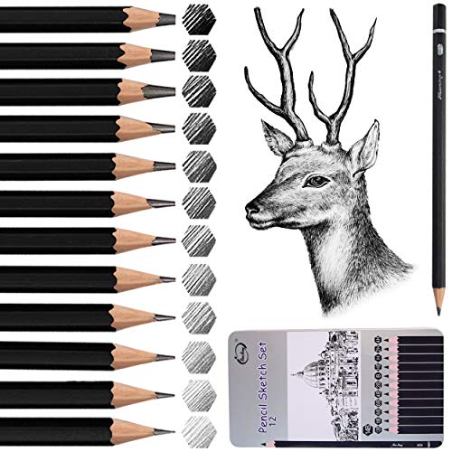 Juego de lápices de boceto, 12 unidades, lápices de dibujo profesional, juego de artistas Surcotto 14B 12B 10B 8B 6B 4B 2B B HB H 2H 4H para niños y adultos Juego de lápices de boceto, 12 unidades, lápices de dibujo profesional, juego de artistas Surcotto 14B 12B 10B 8B 6B 4B 2B B HB H 2H 4H para niños y adultos