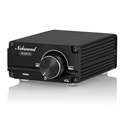 Nobsound Amplificador de potencia digital de audio (100 W, Full Frequency, mono-canal), color negro